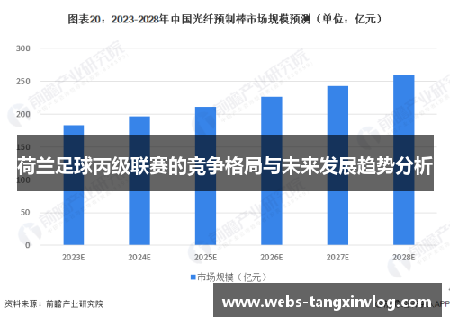 荷兰足球丙级联赛的竞争格局与未来发展趋势分析