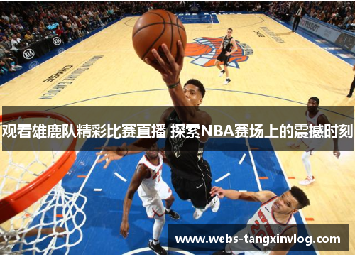 观看雄鹿队精彩比赛直播 探索NBA赛场上的震撼时刻