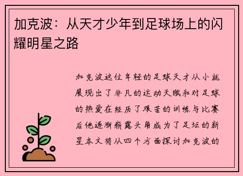 加克波：从天才少年到足球场上的闪耀明星之路